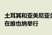 土耳其和亚美尼亚关系正常化进程第四轮会谈在维也纳举行