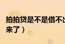 拍拍贷是不是借不出来了（拍拍贷最近借不出来了）