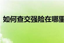 如何查交强险在哪里上的 如何查交强险信息