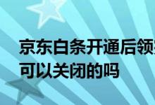 京东白条开通后领完券可以关闭吗 京东白条可以关闭的吗