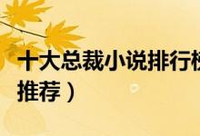 十大总裁小说排行榜（总裁文大全总裁的小说推荐）