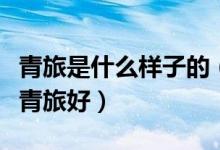 青旅是什么样子的（出游选择住酒店好还是住青旅好）