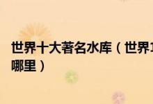 世界十大著名水库（世界10大水库库容排名全球最大水库在哪里）