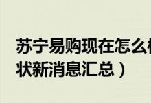 苏宁易购现在怎么样了（2021年11月公司现状新消息汇总）