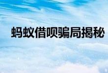 蚂蚁借呗骗局揭秘 蚂蚁借呗强开是骗局么