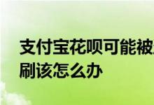 支付宝花呗可能被盗刷吗 支付宝的花呗被盗刷该怎么办