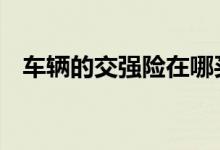 车辆的交强险在哪买 去哪里领交强险标志
