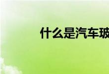 什么是汽车玻璃险&#63;