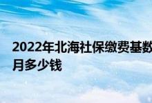 2022年北海社保缴费基数及比例 2022年北海社保缴费一个月多少钱 