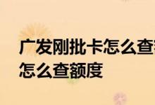 广发刚批卡怎么查额度是多少钱 广发刚批卡怎么查额度