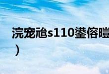 浣宠兘s110鍙傛暟（佳能s110价格是多少钱）