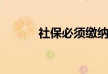 社保必须缴纳吗 个人社怎么交 