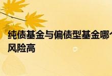 纯债基金与偏债型基金哪个风险高 纯债基金和偏债基金哪个风险高