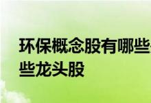 环保概念股有哪些是小盘股 环保概念股有哪些龙头股
