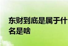 东财到底是属于什么概念的股票 股票东财全名是啥