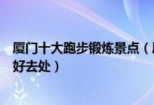 厦门十大跑步锻炼景点（厦门适合跑步的地方厦门户外健身好去处）