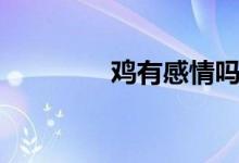 鸡有感情吗（鸡有味觉吗）