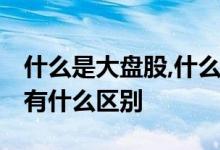 什么是大盘股,什么是小盘股 小盘股和大盘股有什么区别 