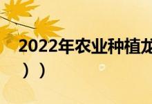 2022年农业种植龙头股有哪些（（新鲜出炉））