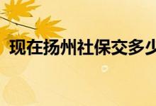 现在扬州社保交多少钱 2022社保缴费标准 