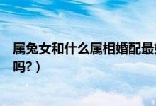 属兔女和什么属相婚配最好（台州银行信用卡没激活有年费吗?）
