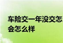 车险交一年没交怎么办 车险到了交费期没交会怎么样