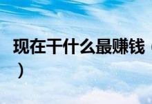 现在干什么最赚钱（干这些生意前景好能赚钱）