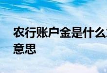 农行账户金是什么意思 农行账户金买是什么意思