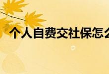 个人自费交社保怎么办理 社保代缴可行吗 