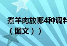 煮羊肉放哪4种调料（一般煮羊肉放什么调料（图文））
