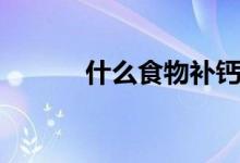 什么食物补钙（什么食物补钙）