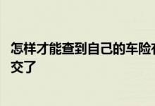 怎样才能查到自己的车险有没有交 怎么知道自己的车险已经交了