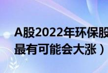 A股2022年环保股票龙头有哪些（哪些股票最有可能会大涨）