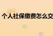 个人社保缴费怎么交 个人缴费明细查询方法 