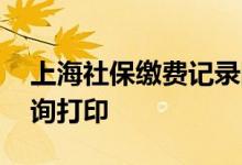 上海社保缴费记录网上可以打印吗 在哪里查询打印 