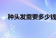 种头发需要多少钱（最新收费标准来了）