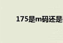 175是m码还是l码（175是多大码）