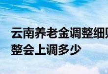 云南养老金调整细则什么时候出2022 定额调整会上调多少 