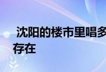  沈阳的楼市里唱多的和唱空的声音总是同时存在 