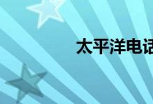 太平洋电话车险服务升级