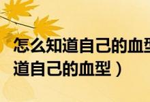 怎么知道自己的血型是阴性还是阳性（怎么知道自己的血型）