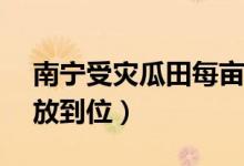南宁受灾瓜田每亩补贴2（79元 补贴何时发放到位）