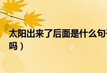 太阳出来了后面是什么句子（泉州银行信用卡没激活有年费吗）