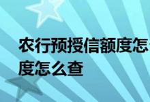 农行预授信额度怎么查 银行给企业的授信额度怎么查