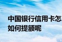 中国银行信用卡怎么提额 中国银行的信用卡如何提额呢