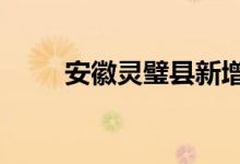 安徽灵璧县新增无症状感染者30例