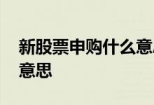 新股票申购什么意思 问一下新股申购成功啥意思 