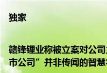 独家|赣锋锂业称被立案对公司主营业务无影响可靠信源：“某上市公司”并非传闻的智慧农业