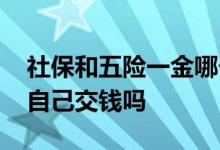 社保和五险一金哪个好 社保和五险一金都是自己交钱吗 