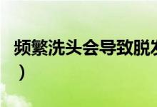 频繁洗头会导致脱发（频繁洗头会导致脱发吗）